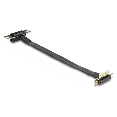 DeLock Riser Card PCIe x1 port courbé à 90° et slot courbé à 90° avec câble 30 cm