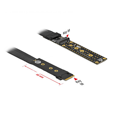 DeLock Riser Card M.2 Key M Extension NVMe avec câble 20 cm