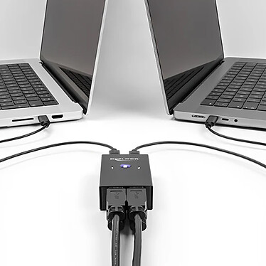 Acheter DeLock Commutateur 2 PC vers 4 périphériques USB 2.0 avec 2 entrées USB-B / 4 sorties USB-A
