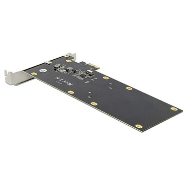 Acheter DeLock Carte Contrôleur PCI Express pour 2 disques 2.5" SATA 6 Gbps