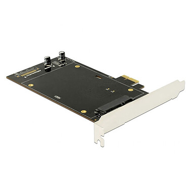 DeLock Carte Contrôleur PCI Express pour 2 disques 2.5" SATA 6 Gbps