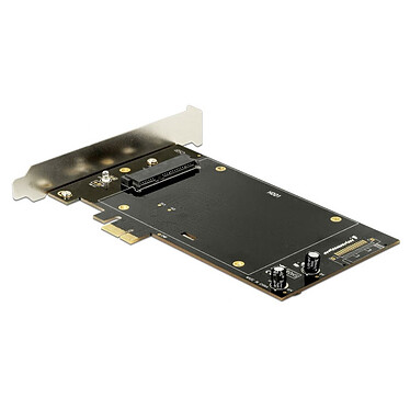 Acheter DeLock Carte Contrôleur PCI Express pour 2 disques 2.5" SATA 6 Gbps