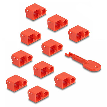 DeLock Lot de 10 bloqueurs de fiches RJ45