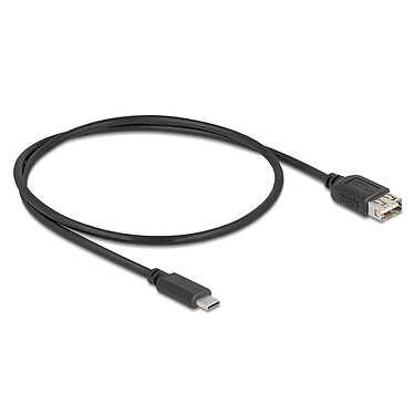 DeLock USB-C / USB-A 2.0 - 0.5 m