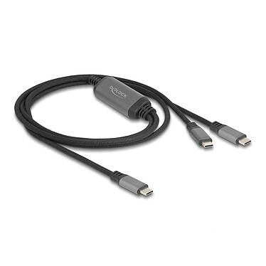 DeLock Câble de recharge 1x USB-C vers 2x USB-C avec Power Delivery 3.0 100W 5A de 1.2 m - Noir