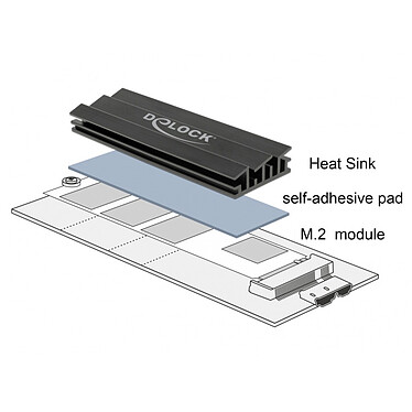 Avis DeLock Dissipateur de chaleur 70 mm pour module M.2 Noir