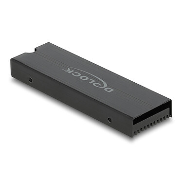 DeLock Dissipateur de chaleur pour module M.2 SSD 2280 Noir