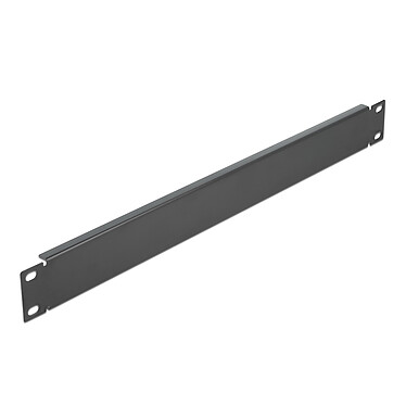 DeLock Cache d'armoire réseau 1U 19" - Noir