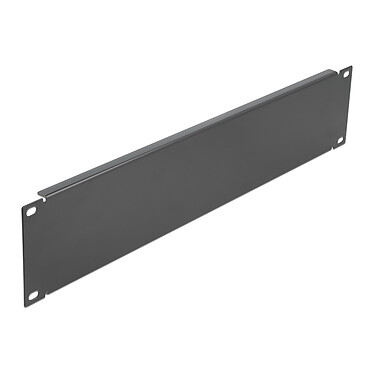 DeLock obturateur 2U pour armoire réseau 19" (noir)