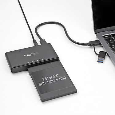 Acheter DeLock Convertisseur avec couvercle USB-C pour 1x SSD M.2 NVMe + 1x SATA SSD / HDD avec fonction de Clonage