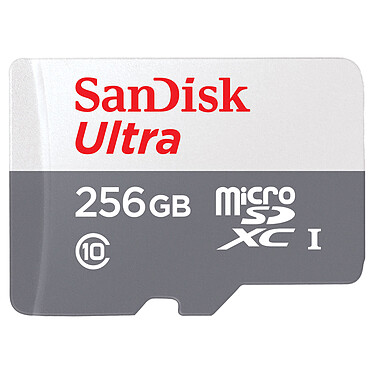 SanDisk Ultra microSDXC 256 Go