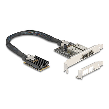 DeLock Carte réseau Mini PCI Express avec 2 ports SFP Gigabit Ethernet
