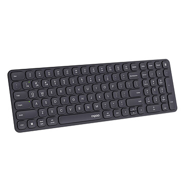 Avis Rapoo E9310M (Noir)