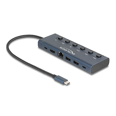 DeLock Station d'accueil USB Type-C 4K 