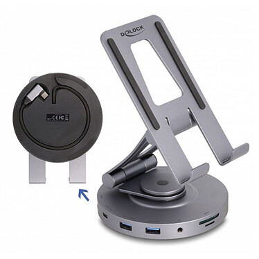 DeLock Tablet & Laptop Docking Station with Holder