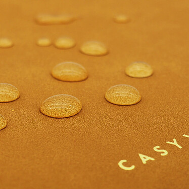 Avis Casyx Pochettes Ordinateur 13" Atelier Camel