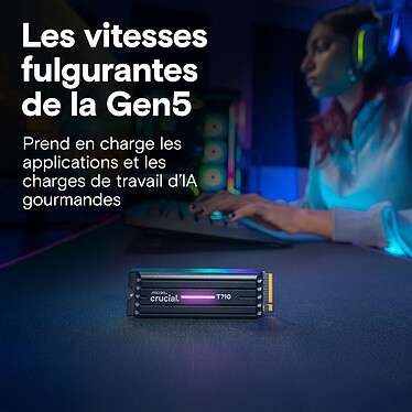 Crucial T710 1 To - Avec dissipateur  pas cher