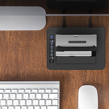 ICY BOX IB-1233CL-CR pas cher