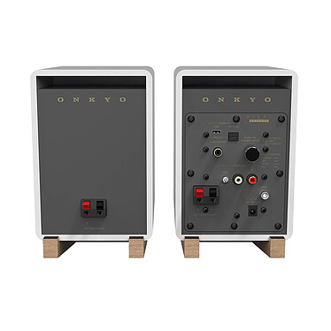 Acheter Onkyo GX-10DB Blanc + Victrola Automatic VPT-800-BLK Noir