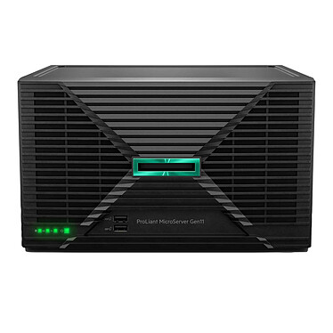 HPE ProLiant MicroServer Gen11 (P74439-425)