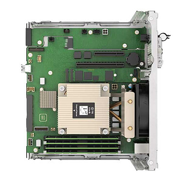 Avis HPE ProLiant MicroServer Gen11 (P74439-425)