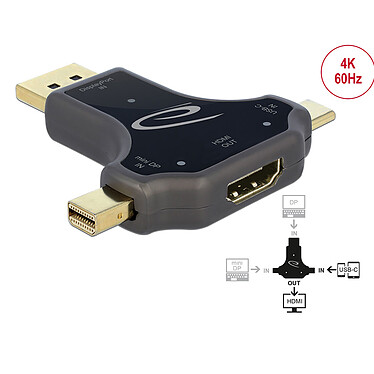 Avis DeLock Adaptateur 3-en-1 vers HDMI 4K - M/F