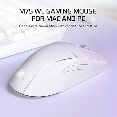Souris PC