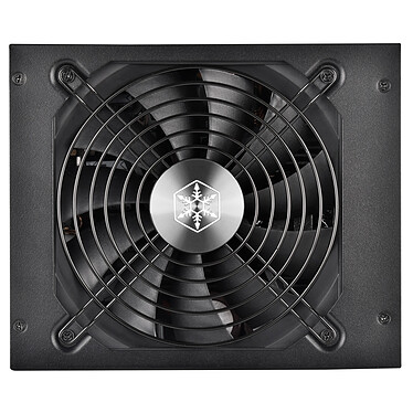 Acheter SilverStone HELA 2050R Platinum