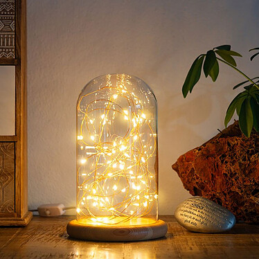 Avis Goobay Glass Bell With Micro LED Light Chain