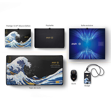 Prestige 13 AI+ Ukiyo-e Edition A2VMG-085FR pas cher
