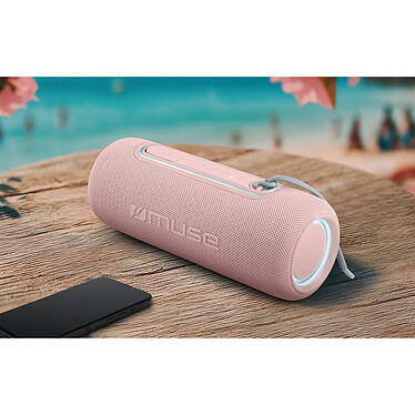Enceinte portable