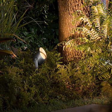 Avis Philips Hue White & Color ambiance Spot d'extérieur connecté LILY XL - 15W - Noir