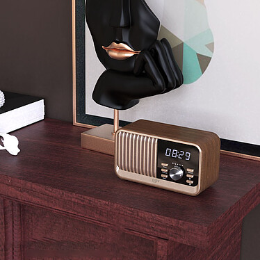 Acheter CGV BeBop FM (Bois)