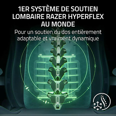 Avis Razer Iskur v2 NewGen (Vert)