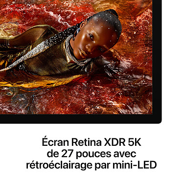 Ecran PC