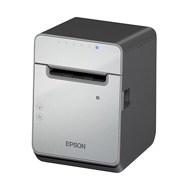 Avis Epson TM-L100 - Noir