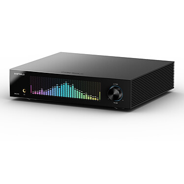 Avis EverSolo DAC-Z10