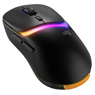 Souris PC