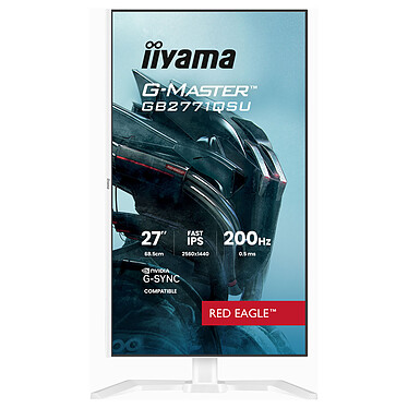 Ecran PC