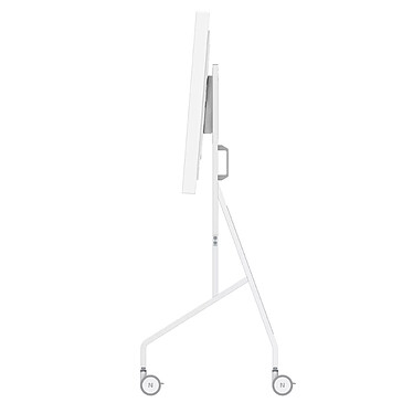 Neomounts FL50-515WH1 Blanc pas cher