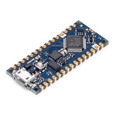 Carte Raspberry Pi