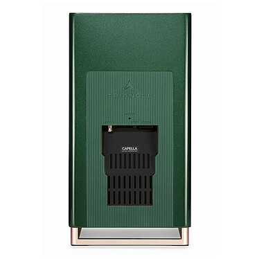 Avis Triangle Capella 2 Vert Anglais