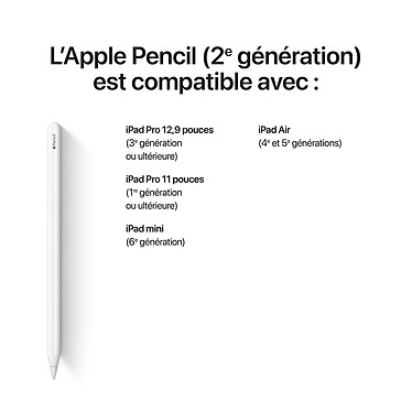 Acheter Apple Pencil 2e génération (MXN43ZM/A)