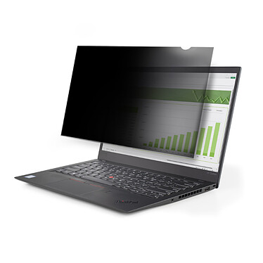 StarTech.com Filtre de Confidentialité/Filtre Antireflet 15.6"