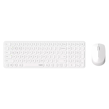 Avis Rapoo 9310M Blanc