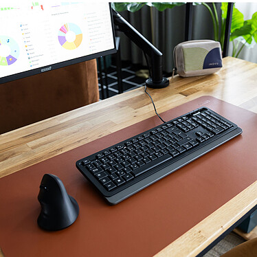 Souris PC