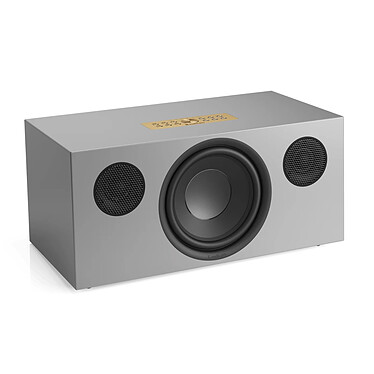 Avis Audio Pro C20 W Gris