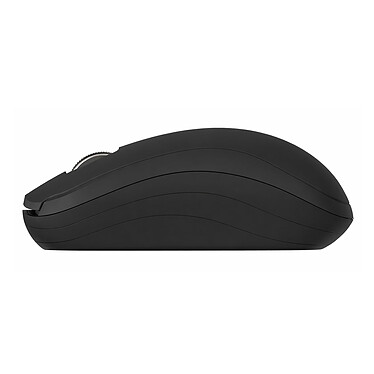 Souris PC