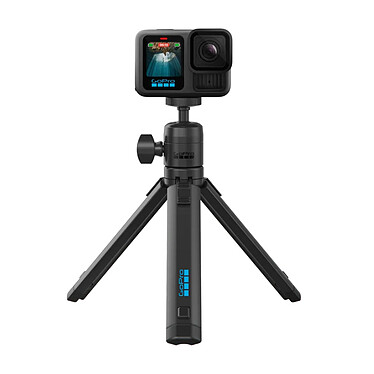 Acheter GoPro Trépied compact avec rotule intégrée (ABTTR-001)