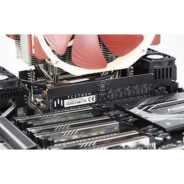 Acheter Textorm 32 Go DDR5 ECC Registered 5600 MHz